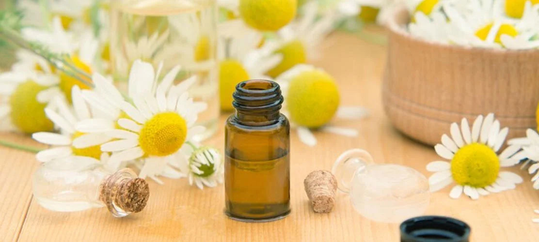 Why Daisy Flower Extract is a Natural Skin Brightener