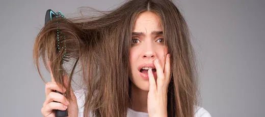 Top 10 Shampoo Brands For Dry And Frizzy Hair - Glopetra