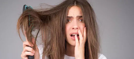Top 10 Shampoo Brands For Dry And Frizzy Hair